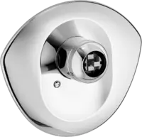 03869100 ShowerFaucets