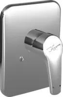 40619043 ShowerFaucets