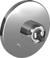 43869000 ShowerFaucets