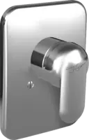 49859041 ShowerFaucets