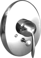 53629101 BathAndShowerFaucets